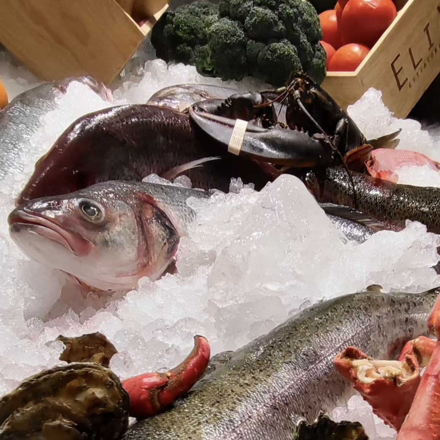 Elia Estiatorio: cocina griega contemporánea en Santa Fe sin clichés turísticos